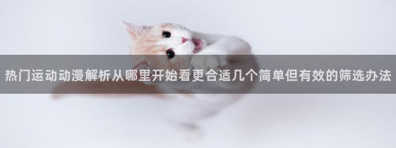 火影18家+动漫:热门运动动漫解析从哪里开始看更合适几个简单但有效的筛选办法