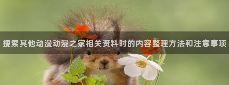 兜兜动漫:搜索其他动漫动漫之家相关资料时的内容整理方法和注意事项