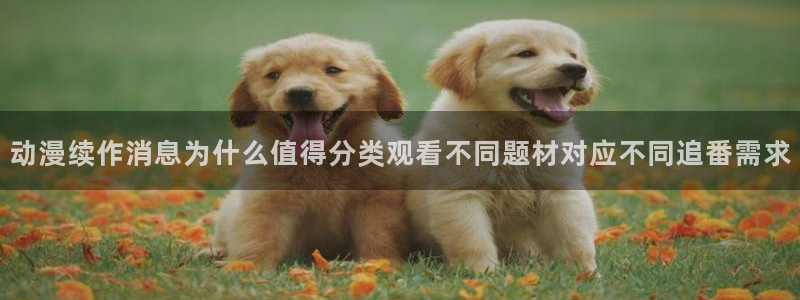 兜兜动漫：动漫续作消息为什么值得分类观看不同题材对应不同追番需求