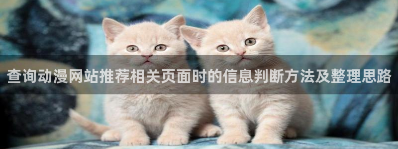 漫漫动漫:查询动漫网站推荐相关页面时的信息判断方法及整理思路