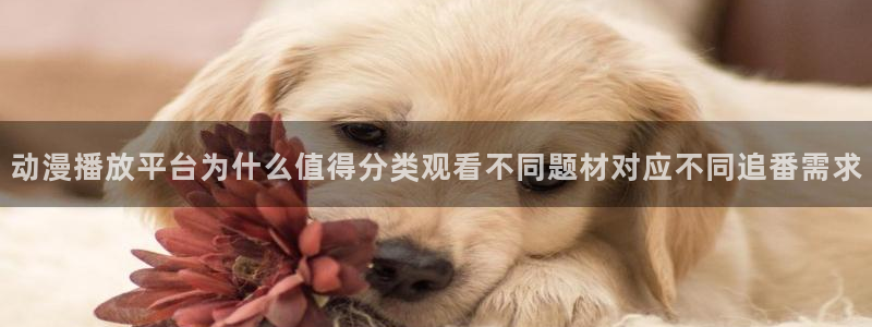 58动漫网:动漫播放平台为什么值得分类观看不同题材对应不同追番需求