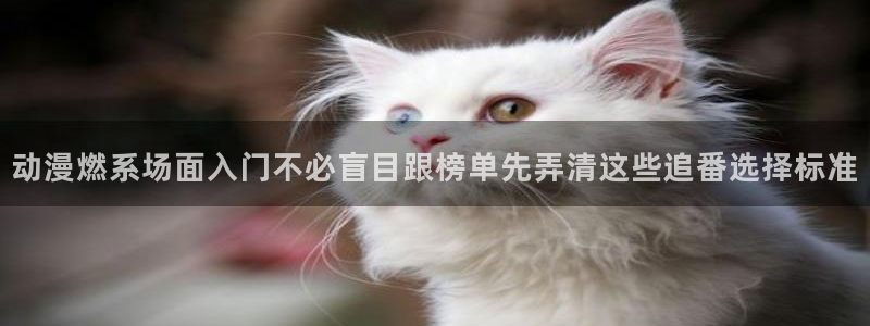 动漫岛下载:动漫燃系场面入门不必盲目跟榜单先弄清这些追番选择标准