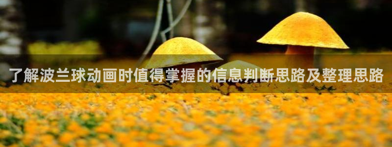动漫全部