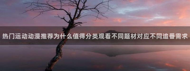 夫妇以上恋人未满动漫:热门运动动漫推荐为什么值得分类观看不同题材对应不同追番需求