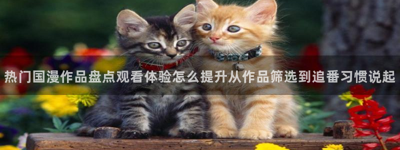 黑田同学动漫:热门国漫作品盘点观看体验怎么提升从作品筛选到追番习惯说起